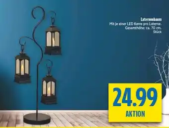 diska Laternenbaum Angebot