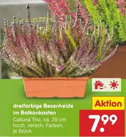 Netto Marken-Discount dreifarbige Besenheide im Balkonkasten Angebot