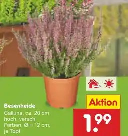Netto Marken-Discount Besenheide Angebot