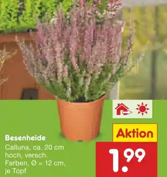 Netto Marken-Discount Besenheide Angebot