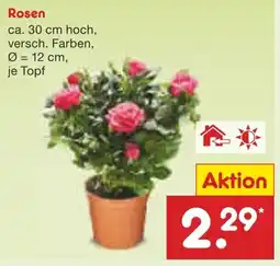 Netto Marken-Discount Rosen Angebot