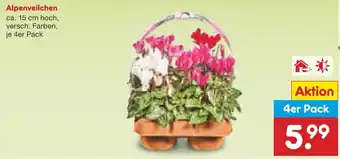 Netto Marken-Discount Alpenveilchen 4er Pack Angebot