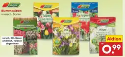 Netto Marken-Discount Blumenzwiebel Angebot