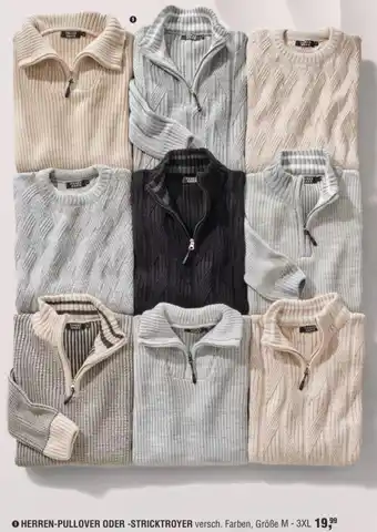 Handelshof HERREN-PULLOVER ODER -STRICKTROYER Angebot
