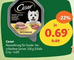 Fressnapf Cesar Nassnahrung für Hunde. Ver- schiedene Angebot