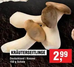 Handelshof KRÄUTERSEITLINGE Angebot