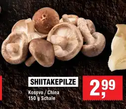 Handelshof SHIITAKEPILZE Angebot