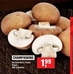 Handelshof CHAMPIGNONS Angebot