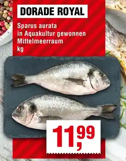Handelshof DORADE ROYAL Angebot