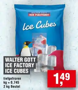 Handelshof WALTER GOTT ICE FACTORY Ice Cubes Angebot
