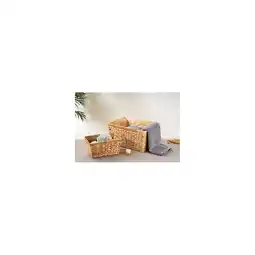 Netto Marken-Discount ECHTWERK Aufbewahrungskorb aus Wasserhyazinthe, 4er Set Angebot