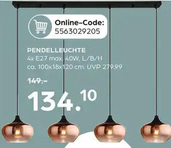 Möbel Buss Pendelleuchte Angebot