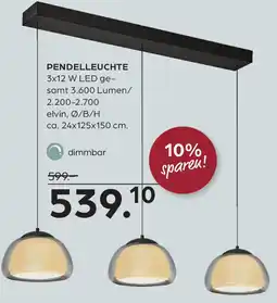Möbel Buss Pendelleuchte Angebot