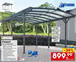 Netto Marken-Discount Carport Angebot