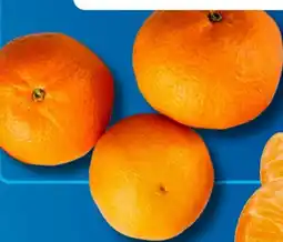 Aldi Süd Mandarinen Angebot