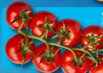 Aldi Süd Cocktailrispentomaten Angebot