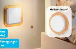 Aldi Süd Casalux Nachtlicht Angebot