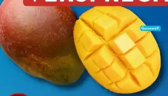 Aldi Süd Mango Angebot