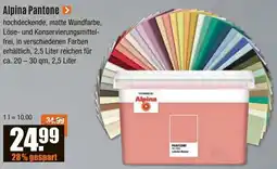 V Baumarkt Alpina Pantone Angebot