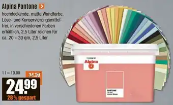 V Baumarkt Alpina Pantone Angebot