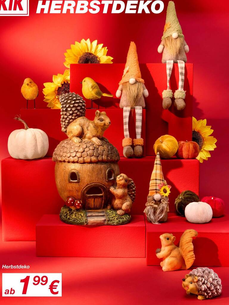 Herbstdeko Angebot bei KiK