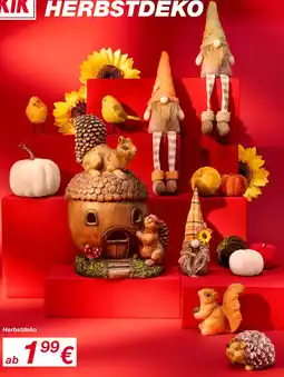 KiK Herbstdeko Angebot