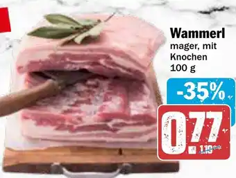 AEZ Wammerl Angebot