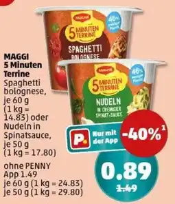 PENNY MAGGI 5 Minuten Terrine Angebot