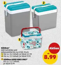 PENNY Kühlbox Angebot