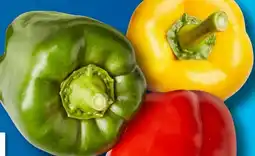 Aldi Süd Paprika-Mix Angebot