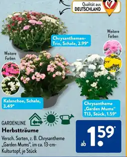 Aldi Süd GARDENLINE Herbstträume Angebot