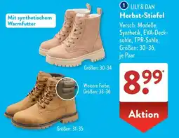Aldi Süd LILY & DAN Herbst-Stiefel Angebot