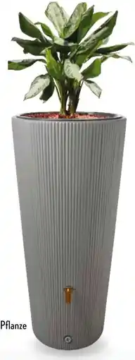 Aldi Süd 4RAIN Regenspeicher Vaso, ca. 220 I, inkl. Zubehör Angebot