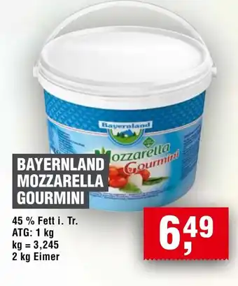 Handelshof BAYERNLAND MOZZARELLA GOURMINI Angebot
