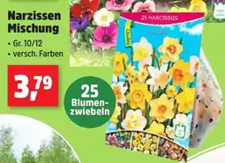 Thomas Philipps Narzissen Mischung Angebot