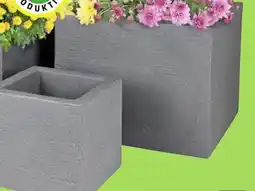 Thomas Philipps Pflanzkübel,,Kubus" Angebot