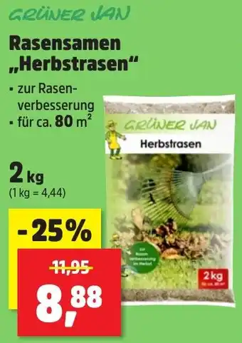 Thomas Philipps GRÜNER JAN Rasensamen ,,Herbstrasen" Angebot