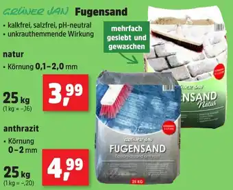 Thomas Philipps GRÜNER JAN Fugensand Natur Angebot