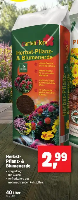 Thomas Philipps Garten Flora Herbst- Pflanz- & Blumenerde Angebot