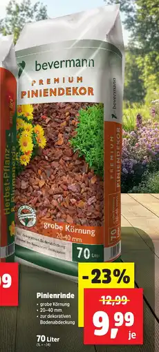 Thomas Philipps bevermann Pinienrinde Angebot