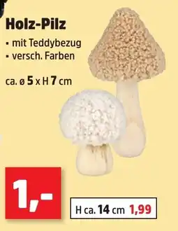 Thomas Philipps Holz-Pilz Angebot