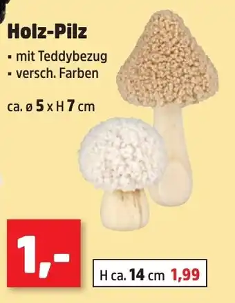 Thomas Philipps Holz-Pilz Angebot