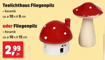Thomas Philipps Teelichthaus Fliegenpilz oder Fliegenpilz Angebot