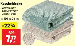 Thomas Philipps Kuscheldecke Angebot
