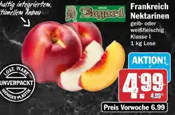 AEZ Frankreich Nektarinen Angebot
