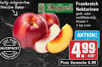AEZ Frankreich Nektarinen Angebot