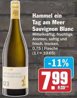 AEZ Hammel ein Tag am Meer Sauvignon Blanc Angebot