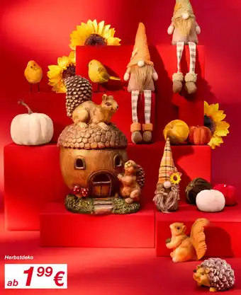 KiK Herbstdeko Angebot