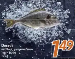 inkoop Dorade Angebot