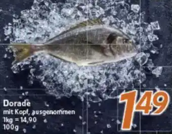 inkoop Dorade Angebot